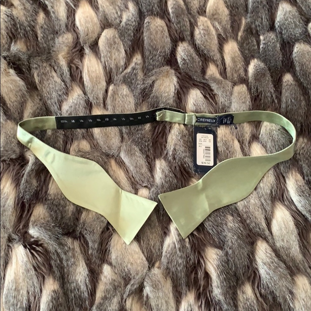 NWT Green Cremieux Bow tie